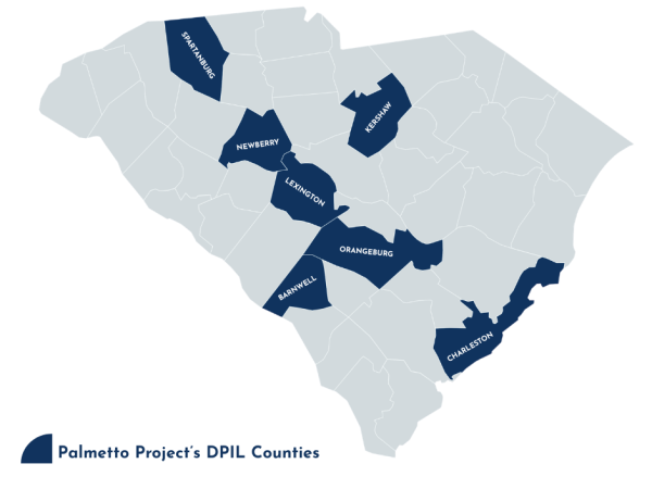 dpil-sc-palmetto-project-2026 dpil-sc-palmetto-project-2026