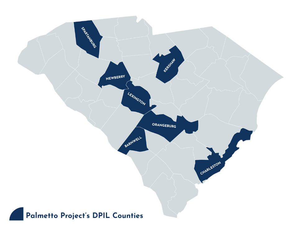 dpil-sc-palmetto-project-2026